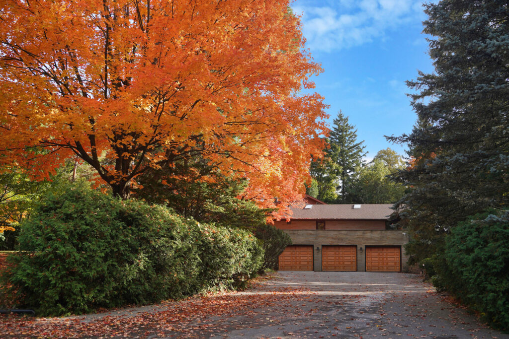 Residential wooden garage doors with autumn leaves scattered across the driveway near orange foliage.